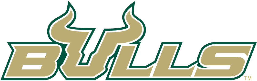 South Florida Bulls 2003-Pres Wordmark Logo v4 diy DTF decal sticker